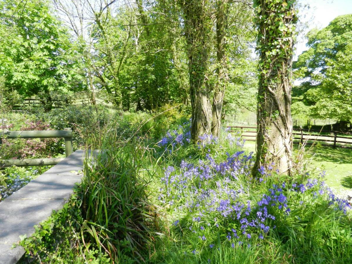 Cilwen Country House Bed And Breakfast Abernant Extérieur photo