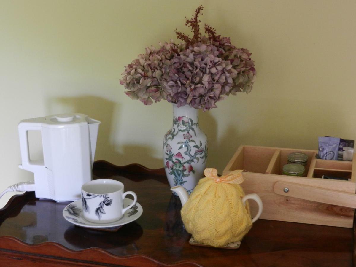 Cilwen Country House Bed And Breakfast Abernant Extérieur photo