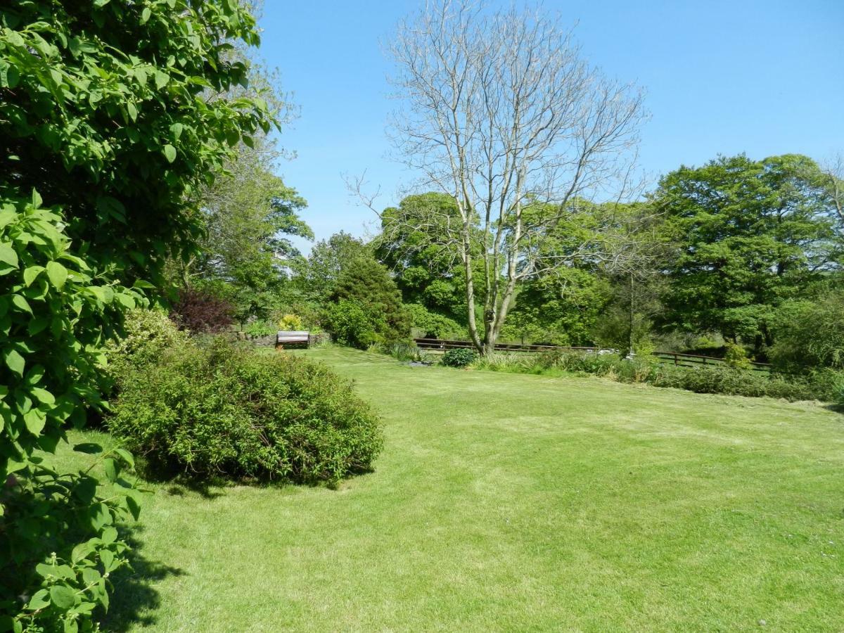 Cilwen Country House Bed And Breakfast Abernant Extérieur photo